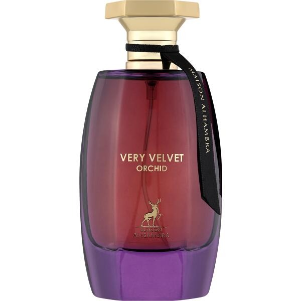 VERY VELVET ORCHID