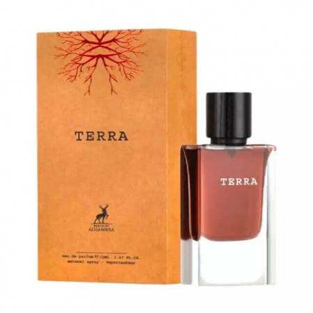 Духи TERRA фото оригинал